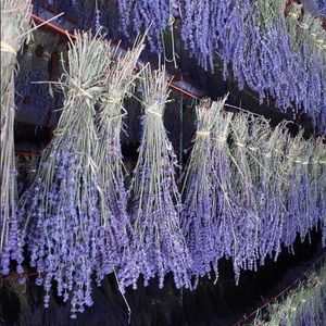 Meet your Posher, Dj